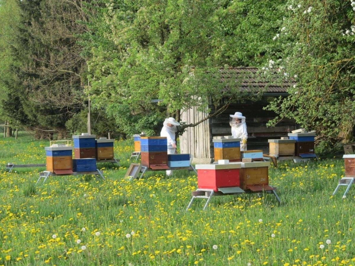 Das Kleine Paradies Purgen Exterior foto